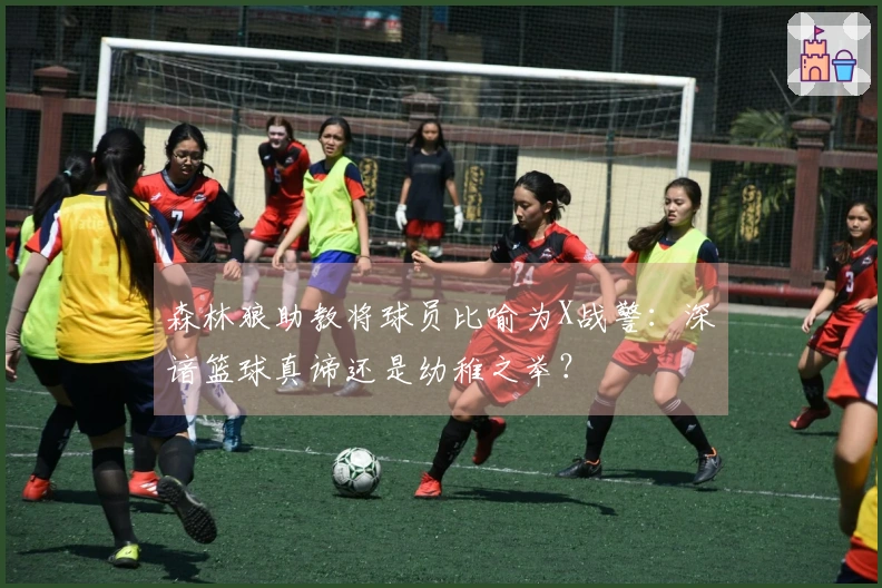 森林狼助教将球员比喻为X战警：深谙篮球真谛还是幼稚之举？