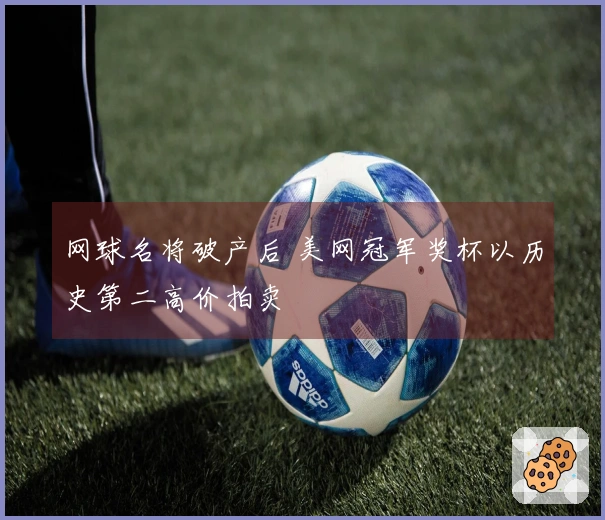 网球名将破产后 美网冠军奖杯以历史第二高价拍卖