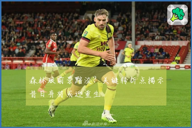 森林狼前景黯淡？关键转折点揭示昔日弃将或迎重生
